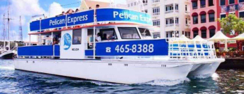 Harbour Trip