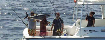 Learn how to fish