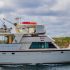 Ocean Encounters Diving