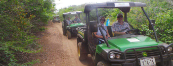Off Road Early Bird Tour