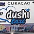 Nix Kiteschool Curacao
