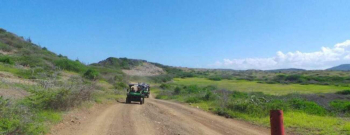The Hangover Buggy Trip