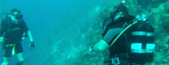 Tugboat dive Excursion