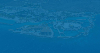 Dive into Adventure with the Animal Encounters Experience in Curaçao