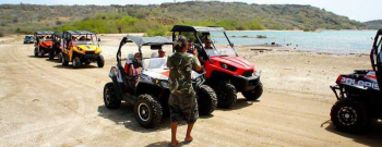West Tour by buggy