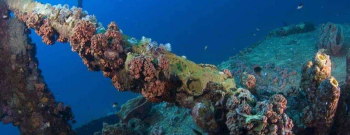 Westpoint dive