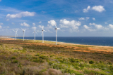 Windmill Farm Curaçao